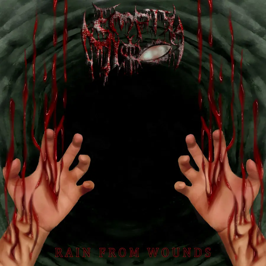 Copertina di Rain from Wounds, Empty Mirror